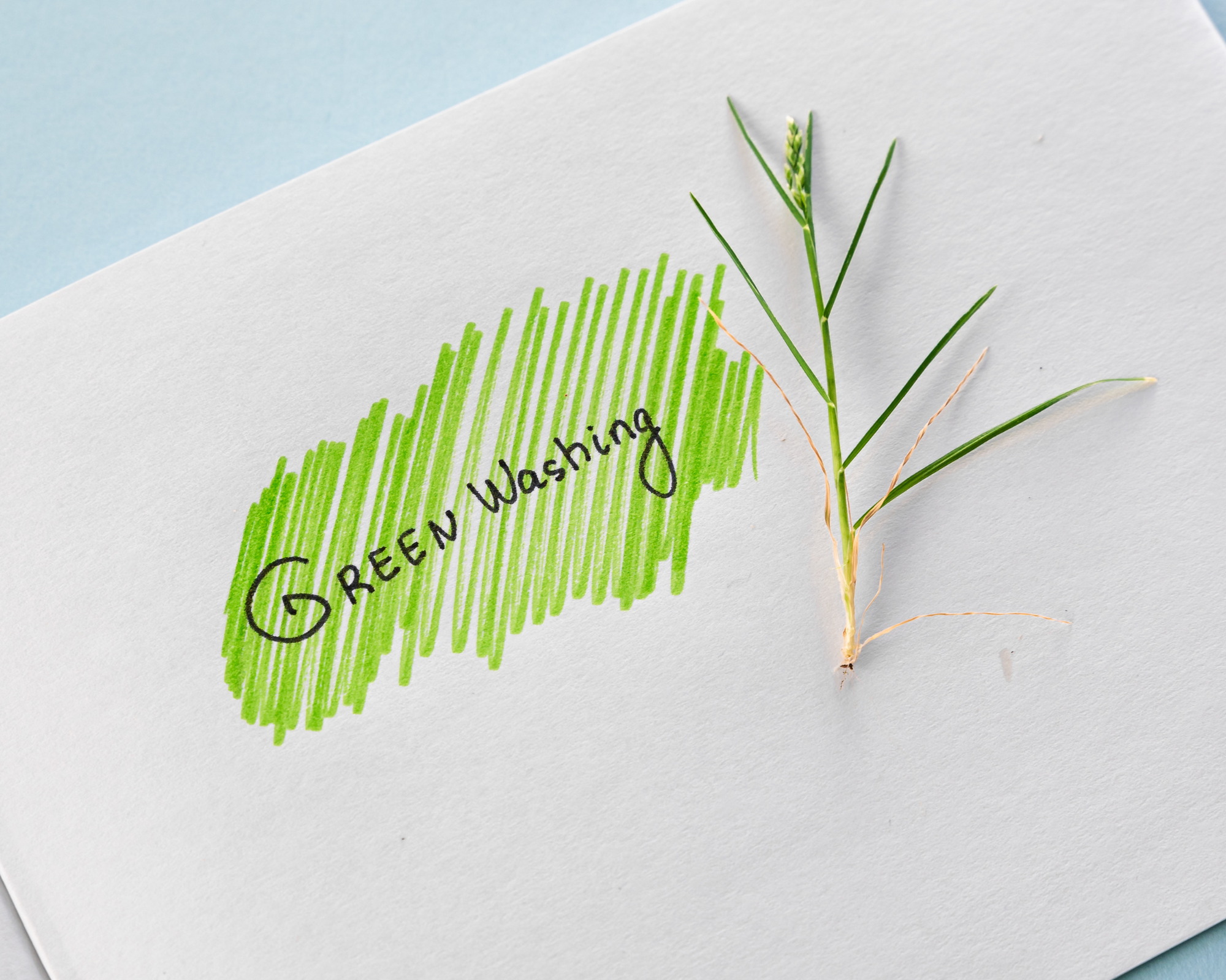Greenwashing