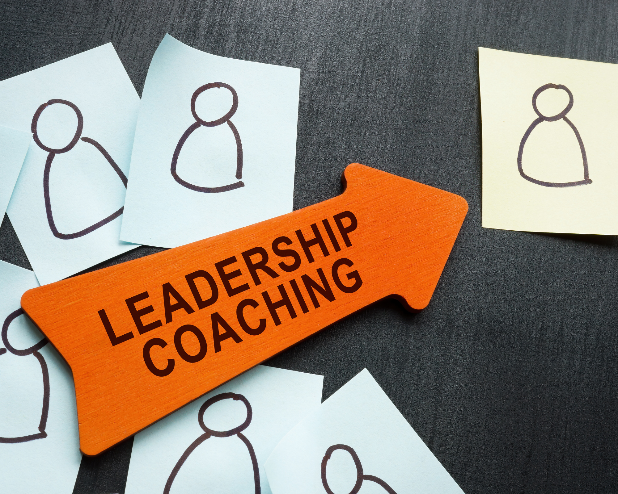 Leadership